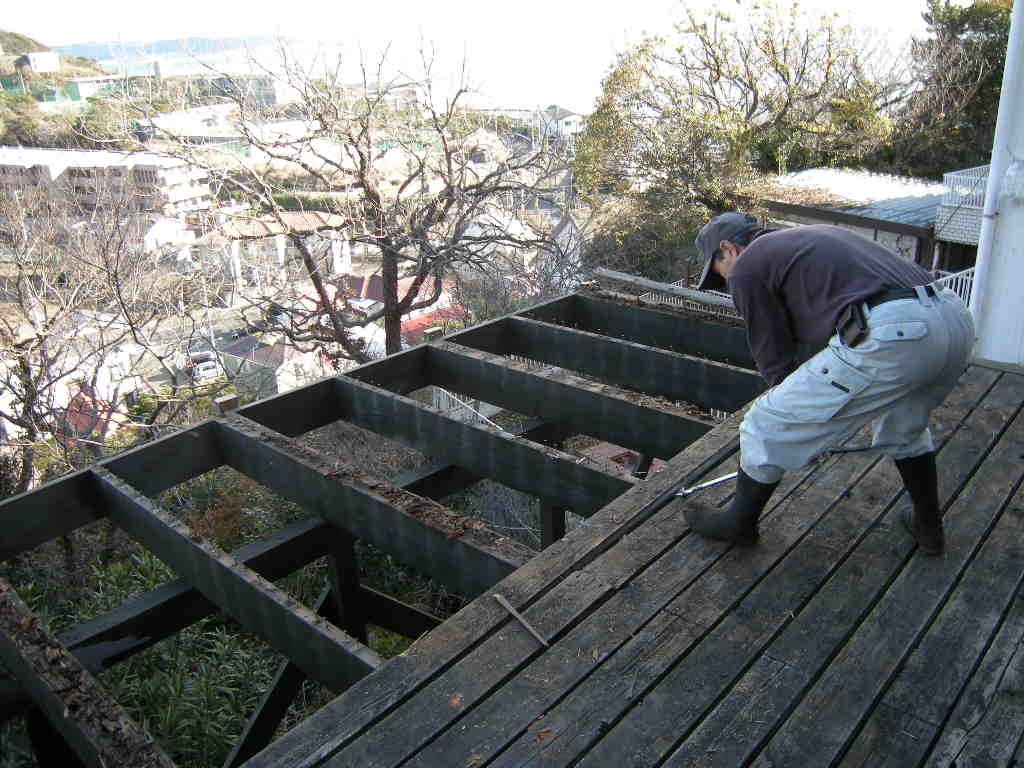 �E�b�h�f�b�L��̓P��